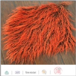 photography rug