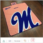 Big logo promotion waterproof blanket